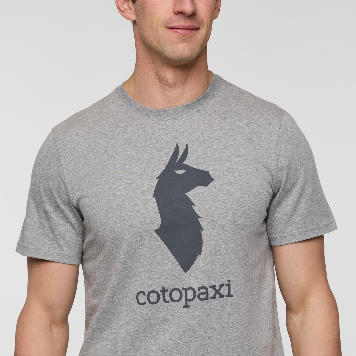 Cotopaxi Llama T Shirt Men's - Image 13
