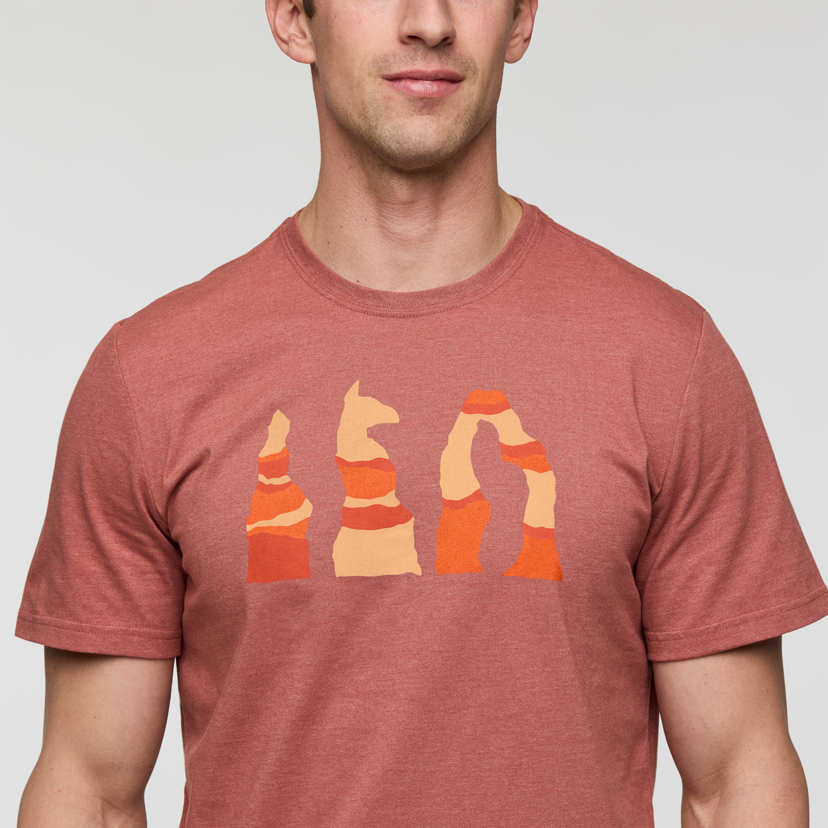 Llama Hoodoo T Shirt Men's - Image 5