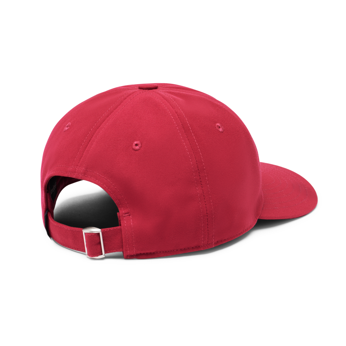 Alternative view of Cotopaxi Dad Hat