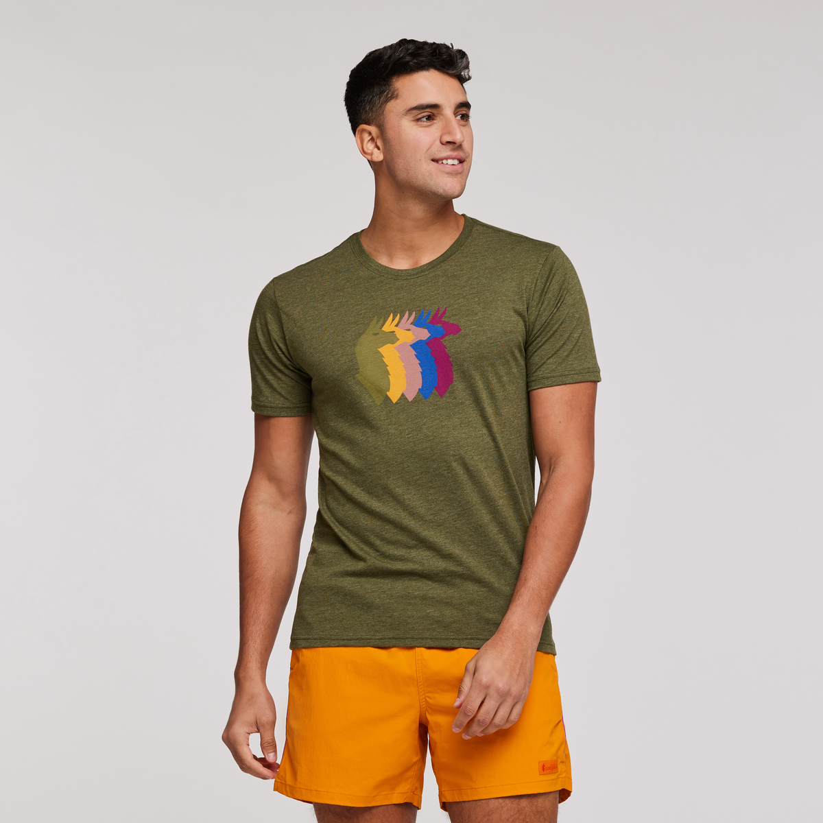 Llama Sequence T Shirt Men's