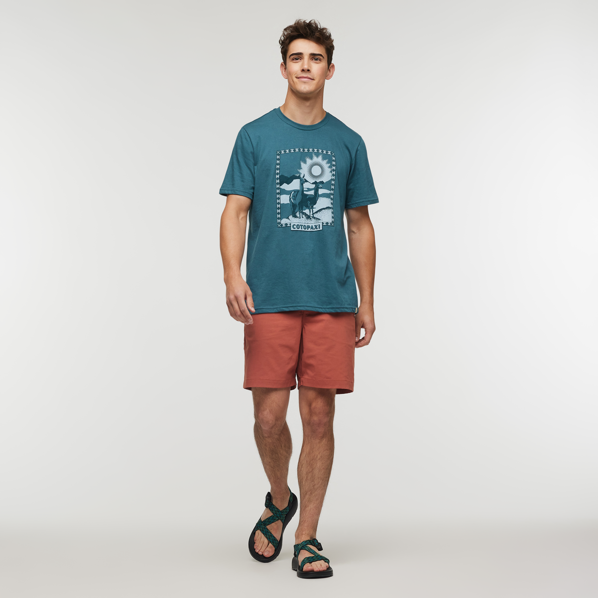 Alternative view of Llama Greetings T Shirt   Men's