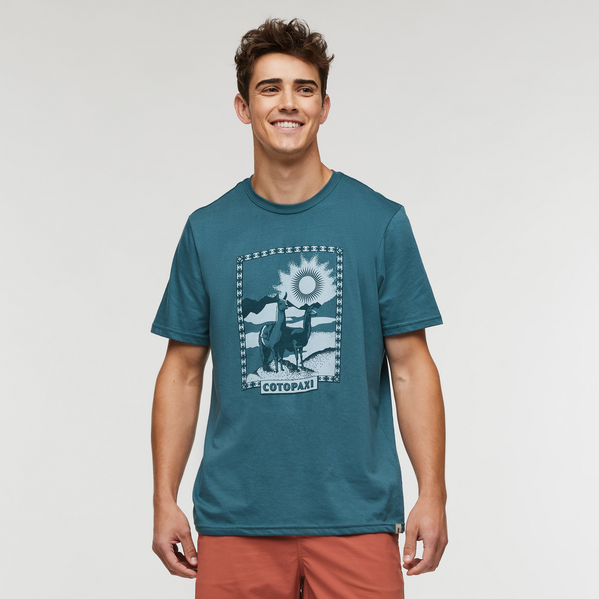 Llama Greetings T Shirt Men's