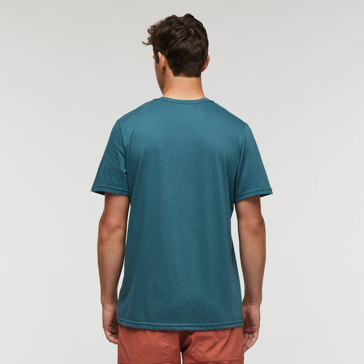 Llama Greetings T Shirt Men's - Image 4