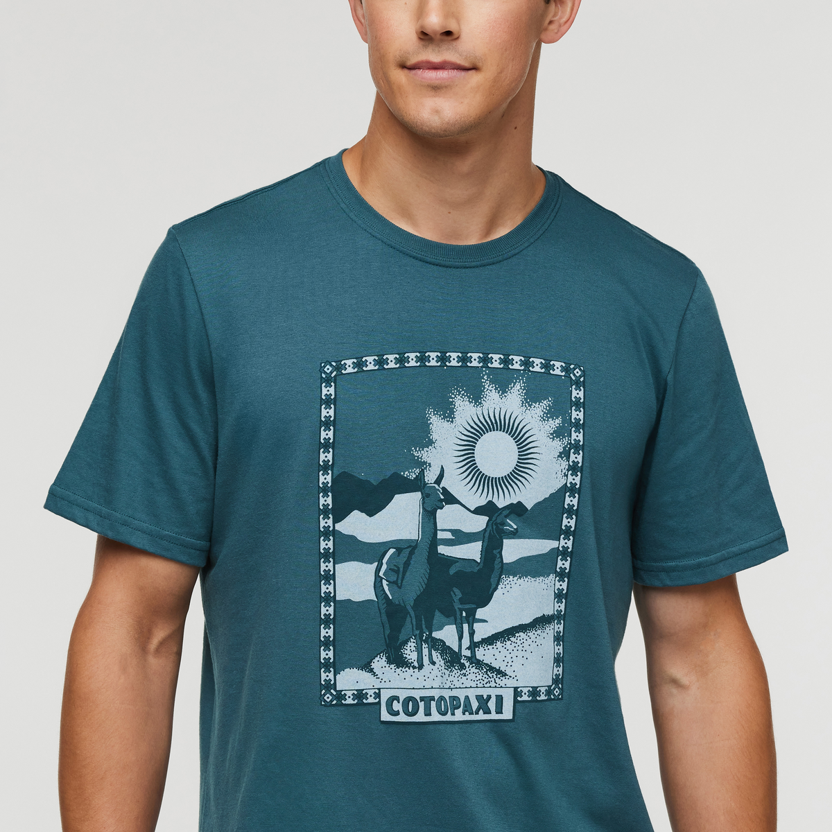 Llama Greetings T Shirt Men's - Image 5