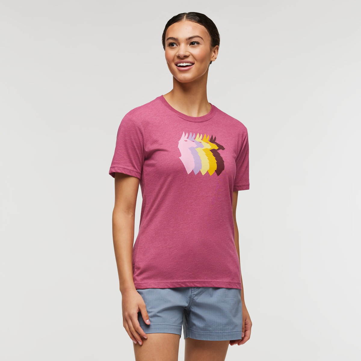 Llama Sequence T Shirt Women's