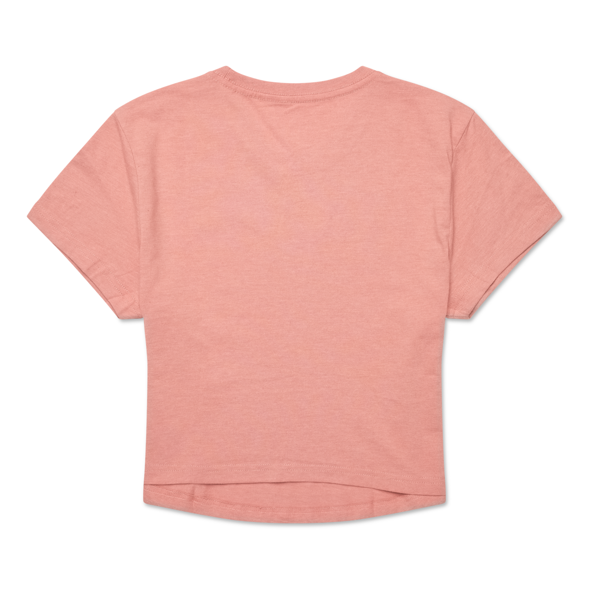 Tiny Llama Crop T Shirt Women's - Image 4
