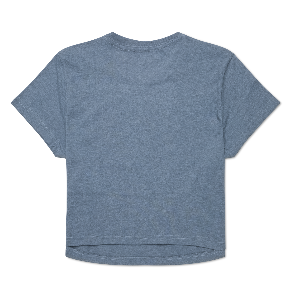 Alternative view of Tiny Llama Crop T Shirt   Women's