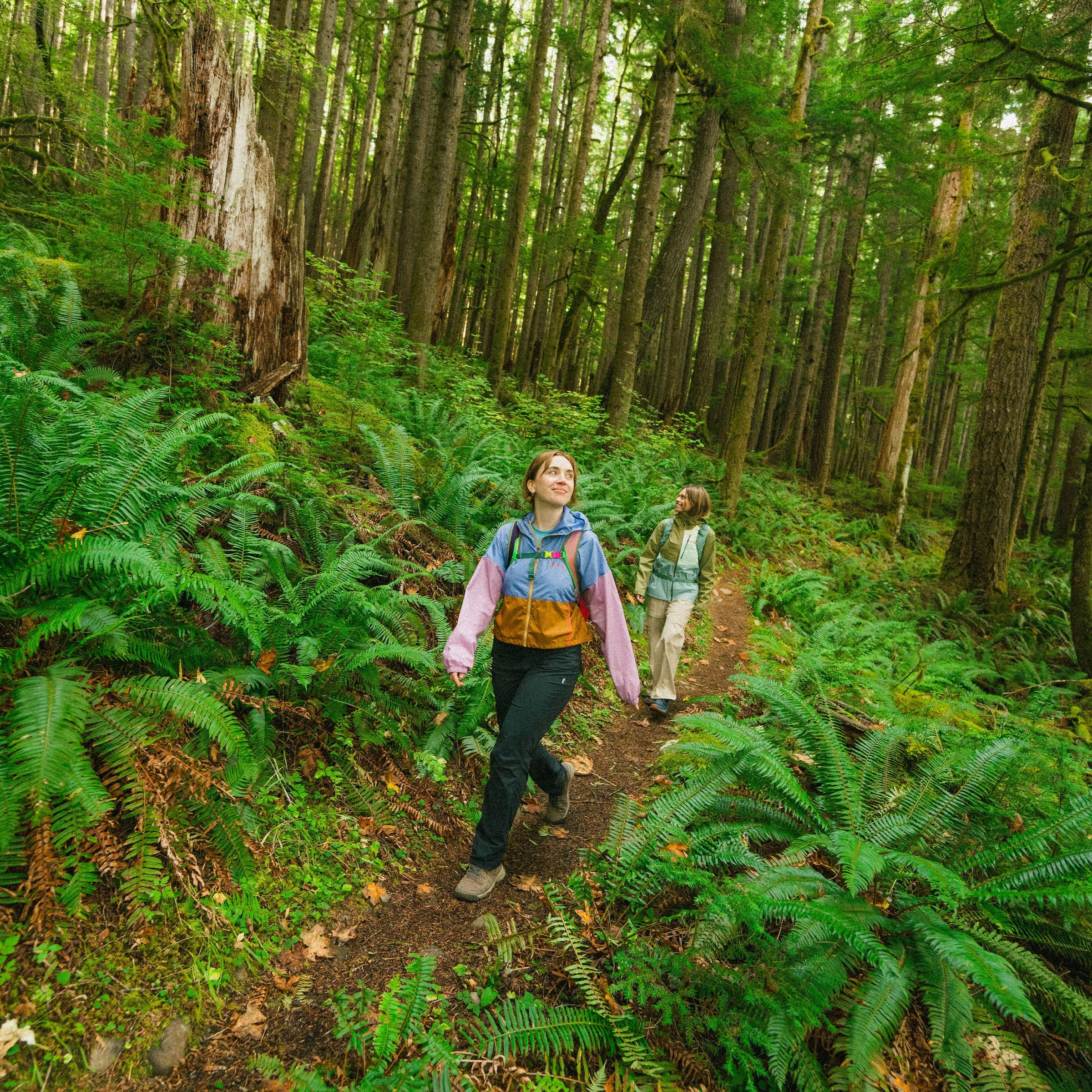 Teca Crop Jacket Women's - Image 19