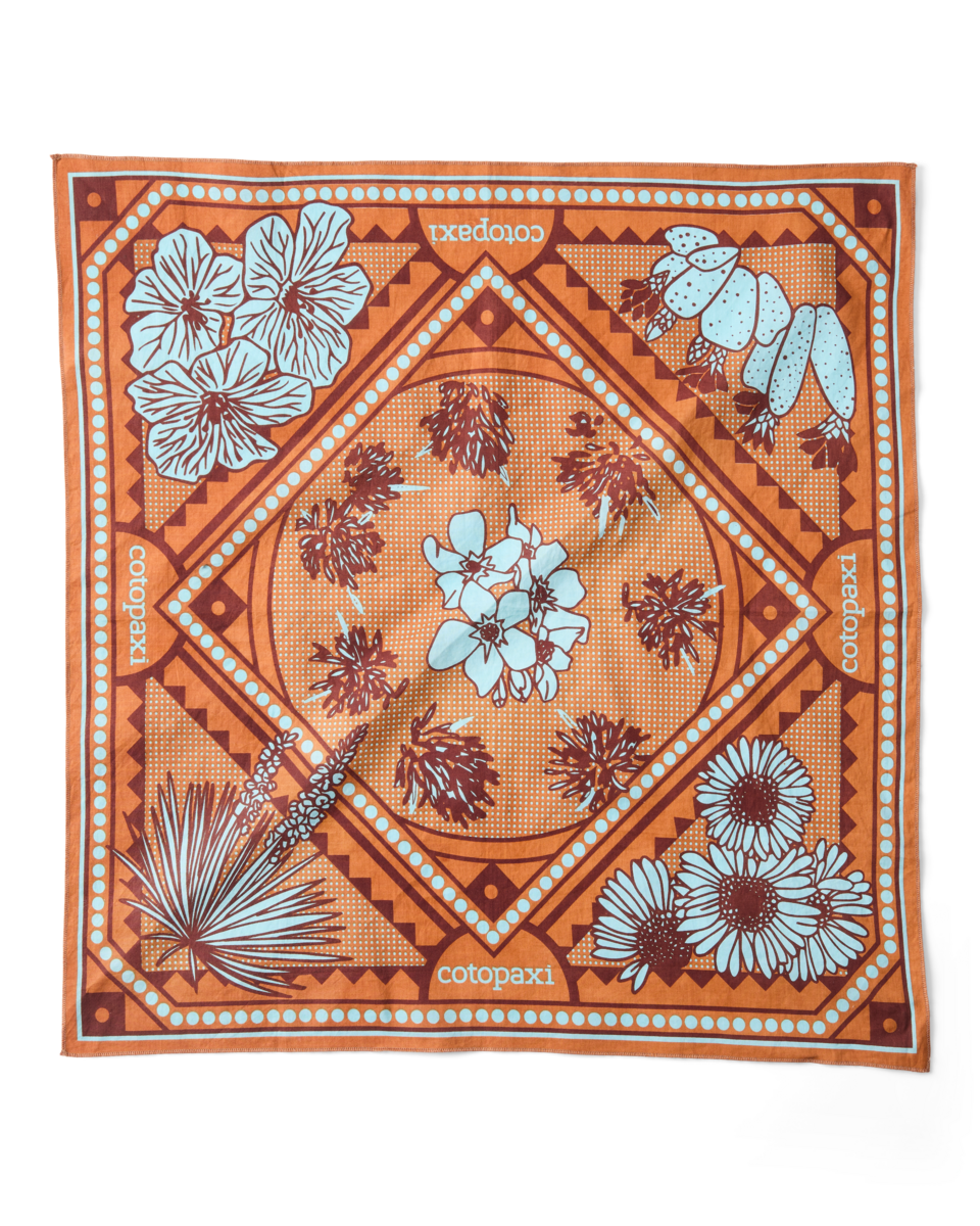 Organic Cotton Bandana - Image 3