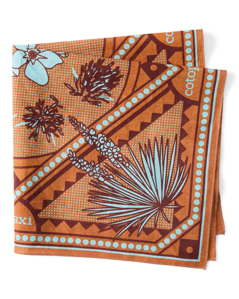 Alternative view of Organic Cotton Bandana