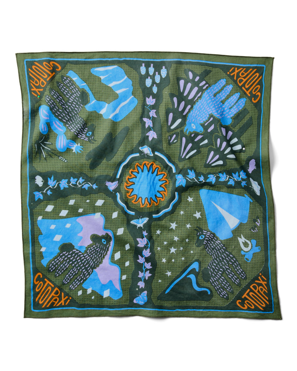 Organic Cotton Bandana - Image 6