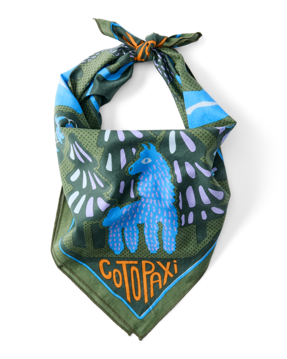 Organic Cotton Bandana - Image 4